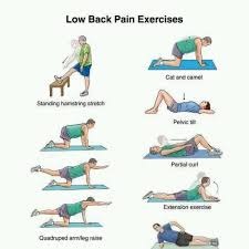 Lower Back Pain Exercise Chart Hip Flexor Muscles Tear Hip