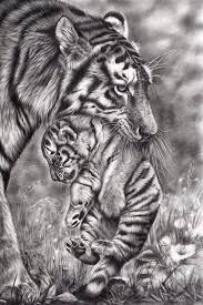Artist draws gorgeous animals and shows us what she made them with demilked. Peter Williams Pencil Drawings Of Animals Realistic Animal Drawings Pencil Art Drawings