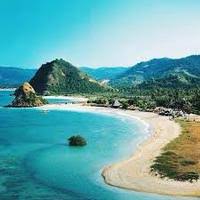 Soal the golden star fruit tree. The Golden Star Fruit Tree Quiz Quiz Quizizz