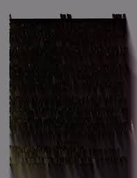 Image result for Ophrestia radicosa