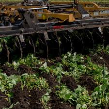 Dumped Milk Smashed Eggs Plowed Vegetables Food Waste Of The Pandemic The New York Times
