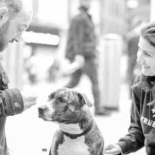 Vet care can be expensive, however you may be able to find cheap vet care nearby if you do some research. Home For Stories Of Everyday Canine Love Loyalty And Bravery Read On For Some Amazing Dogs And Tell Us Your Tale