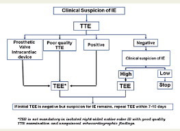 Figure 3 From Cardiac Imaging In Infectious Endocarditis