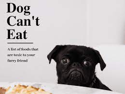 List Of Toxic Human Foods Your Dog Cannot Eat Pethelpful