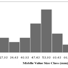 Clam shell decor nzymes dogs. 207839 Pdfs Review Articles In Shell