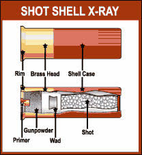 Shotgun Ammunition Shotgun Life