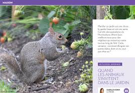 Quand Les Animaux S Invitent Dans Le Jardin La Presse