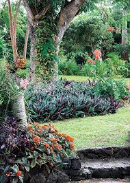 Also, consider the visibility of plants in. Landscaping Around Trees Buy Trees Online Perfect Plants