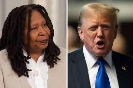Whoopi Goldberg Makes Abrupt Schedule Change To Appear On 'The View'  Following Trump's Guilty Verdict | Decider
