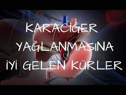 Karaciger Yaglanmasina Iyi Gelen Kurler Youtube Saglik Saglik Ipuclari Youtube