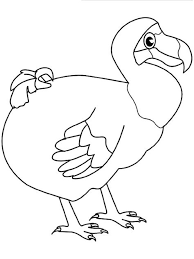 In addition to learning about the unique characteristics of species like the dodo, desert, and blue bird, students will get acquainted with the state birds of all 50 states, from arkansas (the mockingbird) to wyoming (the western meadowlark. Dodo Coloring Pages Kidsuki