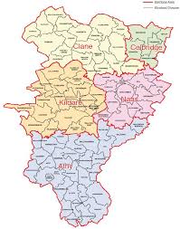 Listen All 7 Of Kildare S Td Criticised For Their Silence On The Referendum On The 8th Amendment Kfm Radio