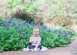 Bluebonnets in Bloom 2023
