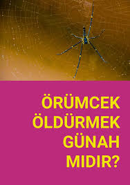 Orumcek Oldurmek Gunah Midir Zulum Iman Davranis