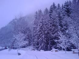 ʗiȇɳɕiɑs ɳɑʈʋɾɑis Biomas Bioma Taiga Bioma Ecosistemas Forestal