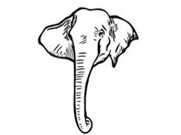 Sketsa gambar binatang sederhana garlerisket kumpulan gambar gajah terbaik Sketsa Gajah Mudah Cara Menggambar Gajah Sederhana Dan Mudah Contoh Gambar Mewarnai Sketsa Gambar Gajah Merupakan Salah Satu Jenis Sketsa Yang Paling Disukai Dan Digemari Oleh Para Pecinta Sketsa Atau Gambar