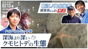 水中ドローンで撮影した映像を新江ノ島水族館の飼育員の方々に解説いただきました｜深海生物図鑑【04】深海より深い！クモヒトデの生態 | 国産のROV -  YouTube