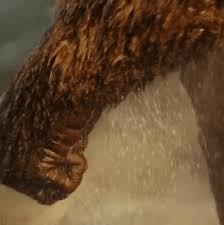 A napokban robbant fel a bulvársajtó a hírtől, miszerint a margaret island zenekarának énekese, lábas viki elég fura szöveggel kommentálta tolvai reni egyik fotóját egy. Kong Vs Godzilla Gif New King Ghidorah Monsterverse Gojipedia Fandom Share The Best Gifs Now Muchtarjaksaarifin