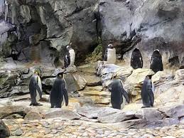 Free and open to the public. Thread By Charles Gaba On Thread Reader App Thread Reader App