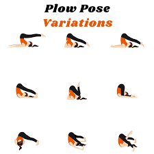 How To Do Plow Pose And Variation Plow Pose Yoga Yoga Poses Advanced Yoga Fitness