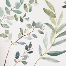 Elegant Feminine Light Watercolour Eucalyptus Leaves Neutral Tones Graphic Design Inspiration Illustr Watercolor Leaves Watercolor Flowers Floral Watercolor