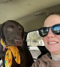 Chocolate and tan akc registered female 11 months old Asking for a rehoming  fee pm me if interested in giving her a forever home.