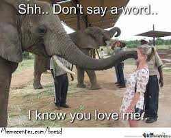70 Funny I Love You Meme Sayingimages Com