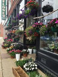 Steve's flower market, chicago, il. Chicago Florist Steve S Flower Market