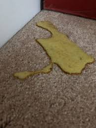 It may or may not appear foamy. Dog Vomiting Up Yellow Liquid Cheap Buy Online
