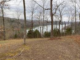 There are walking paths that encompasses 3 acres on the property. Dale Hollow Lake Byrdstown Real Estate 35 Homes For Sale Zillow