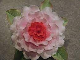 Gumpaste Camellia Gum Paste Camellia Flowers