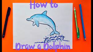 How To Draw A Dolphin Step By Step - Youtube