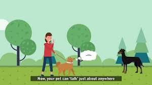 That speaker has to be terrible and could actually be painful being that close to the dogs ears because if the (lack of) frequency range they tend to have. Goat Pet Products Goat Pet Speaker United States