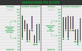 Handy Little Cannabis Ph Meter Chart Best Seed Bank