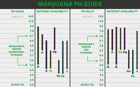 handy little cannabis ph meter chart best seed bank