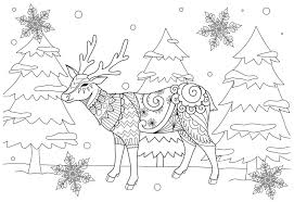 Waldtiere waldtiere ausmalbilder waldtiere malvorlagen or. Ausmalbilder Winter Fur Kinder Im Format A4 Wonder Day