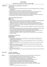 salesforce consultant resume samples