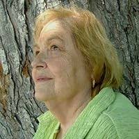 Silence Fell by Josephine Dickinson