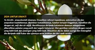 Disyariatkannya doa seorang muslim untuk kaum muslimin yang telah meninggal apabila dia melintasi pemakaman, sebagaimana didalam hadits buraidah berkata, rasulullah saw mengajari mereka apabila keluar menuju pemakaman hendaklah mengatakan Doa Penuh Kemuliaan Untuk Simati Informasi Santai