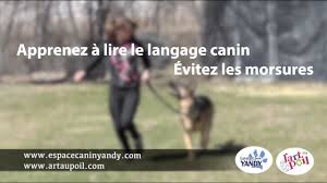 Laissez ce champ vide si vous êtes humain : Pour Les Nuls Communication Canine 101