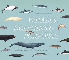 New Book On Whales Dolphins Porpoises Of The World