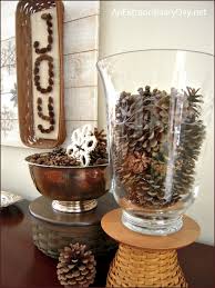 See more ideas about pine cone decorations, pine cone crafts, cones crafts. Pine Cones And Snowflakes Winter Decor The Week At A Glance 1 4 An Extraordinary Day