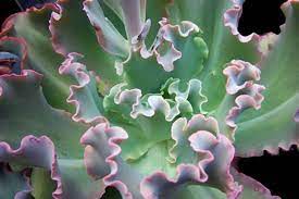 We did not find results for: Pin On Gardening