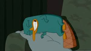 A gif of perry, this is for all fans of perry the platypus, omg, it so cool!!!, i hope. 22 Perry The Platypus Fan Art Ideas Perry The Platypus Phineas And Ferb Platypus