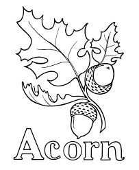 Other great ideas for text: Acorn Coloring Pages For Kids Coloring Home