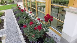 Unsere gartenplaner und landschaftsarchitekten in den planungsbüros in hamburg, stuttgart, zürich und palma de mallorca planen und gestalten hochwertige gärten und dachterrassen. Die 15 Besten Landschaftsarchitekten In Munchen Houzz
