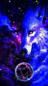 Jeden tag tausende neuer bilder garantiert kostenlos hochwertige videos und bilder von pexels 20 Neon Tiere Ideen Tiere Fantasy Tiere Fantasie Tiere