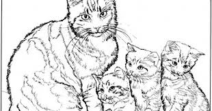 Gatta Con Tre Micetti Disegno Da Colorare