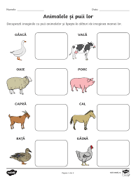 „şcoala altfel la tarom şi la unitatea militară din. Ro T T 5679 Animalele Domestice Si Puii Lor Activitate