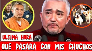 Entrevista a la peradeportista Joselyn Paulina Ortiz Martínez